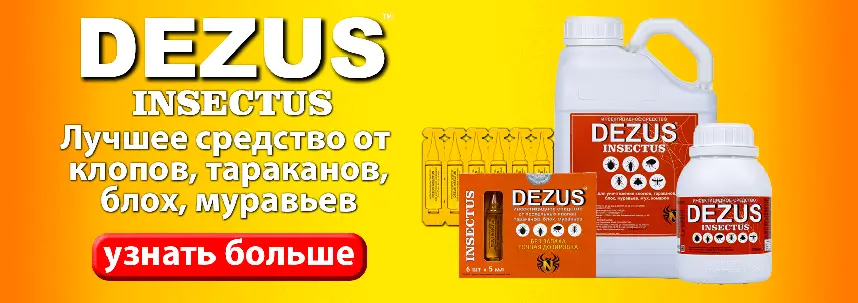 Dezus