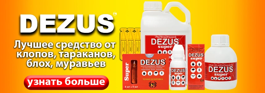Dezus