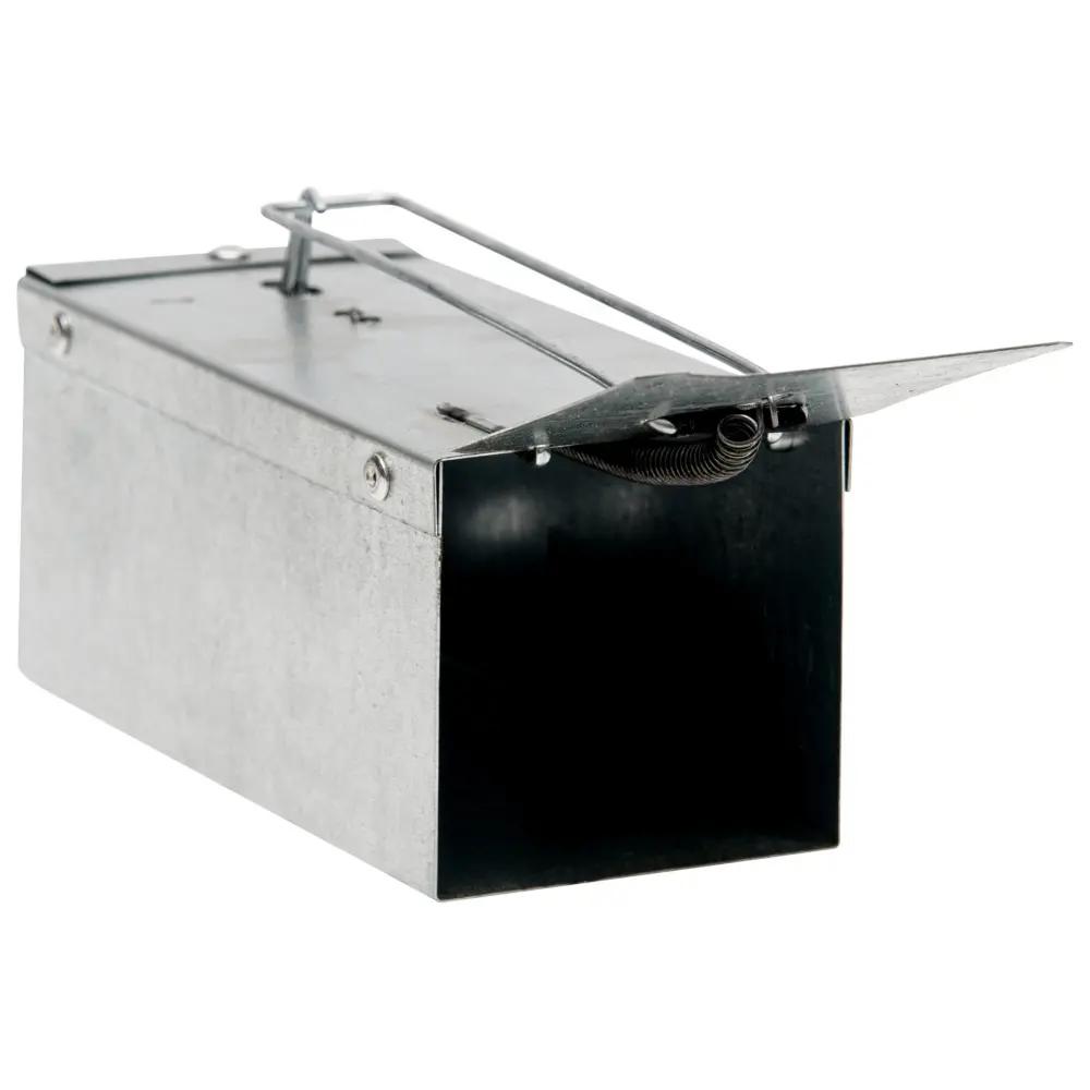 Живоловка мышиная с фиксацией приманки на крючок (металлическая) (135x60x65), 1 шт