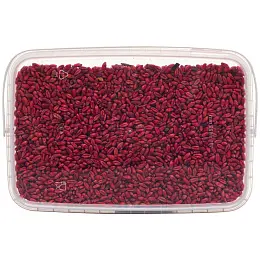 Цунами приманка от грызунов, крыс и мышей (зерно), 1 кг. Фото N2