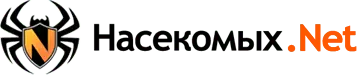Насекомых.Net