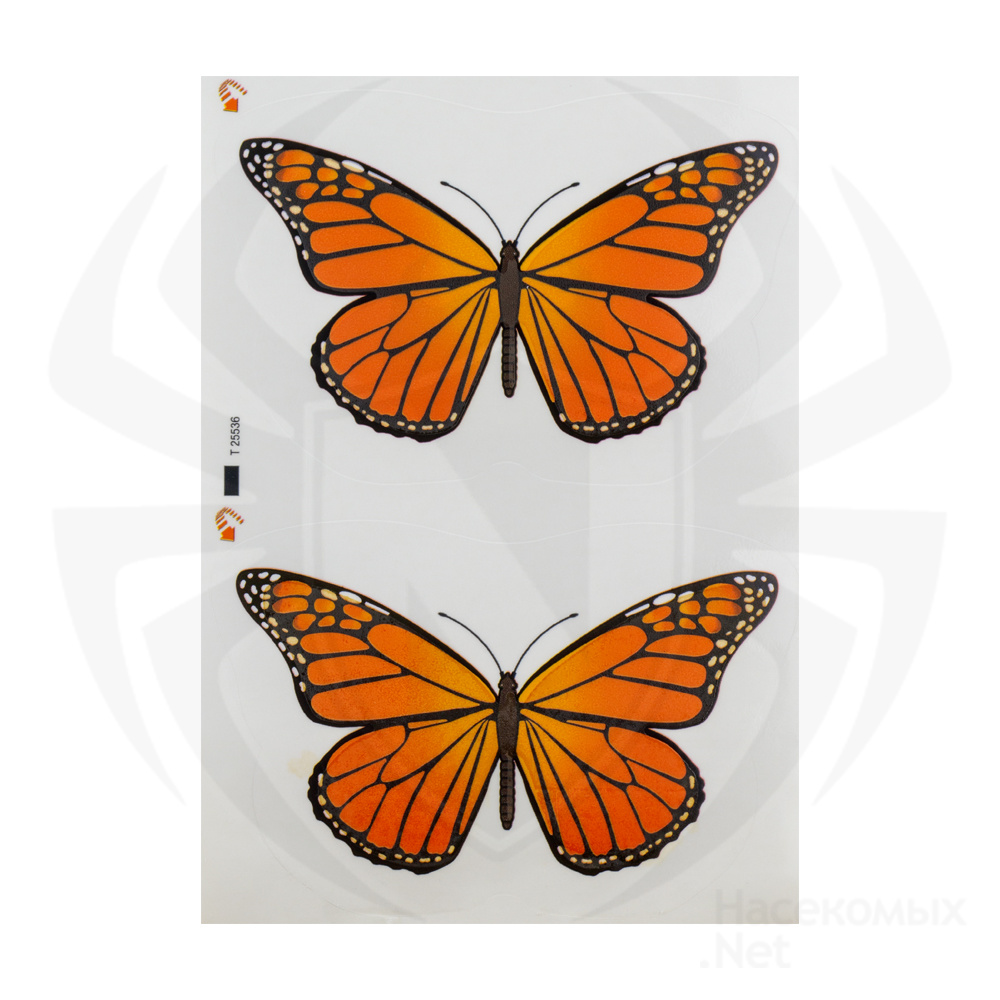 Aeroxon (Аэроксон) Fliegenkoder декоративные приманки в виде бабочки для мух (без запаха), 4 шт. Фото N2